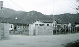 Hiroshima plant (1959)